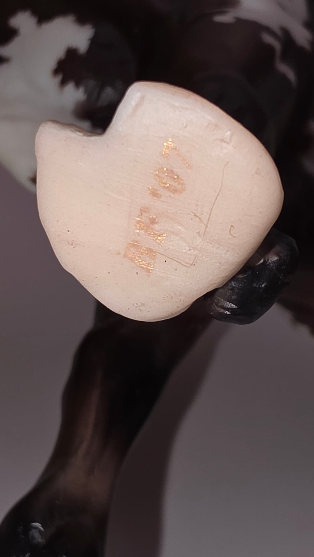 Breyer, Alamo