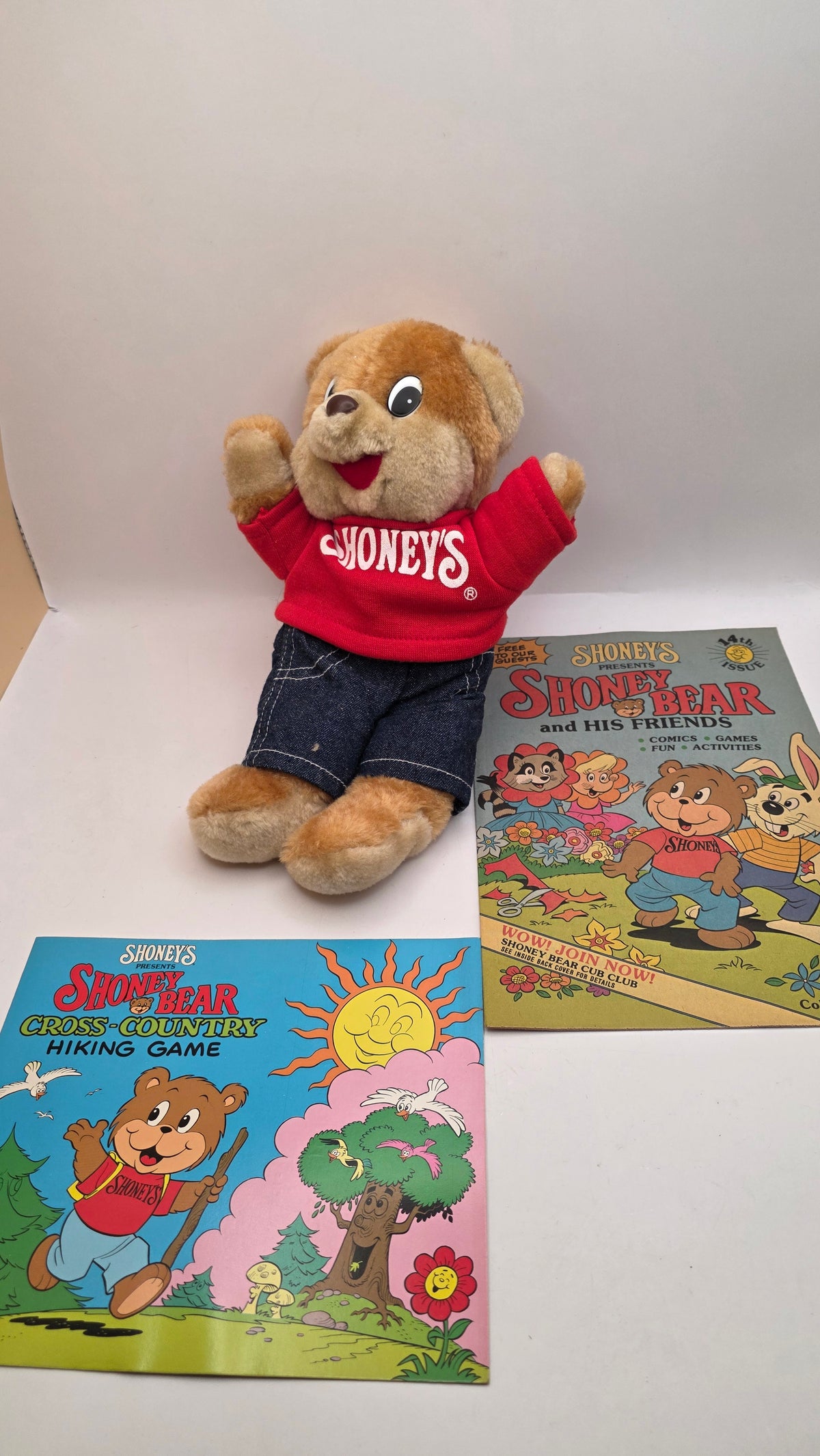 Shoney's Bear