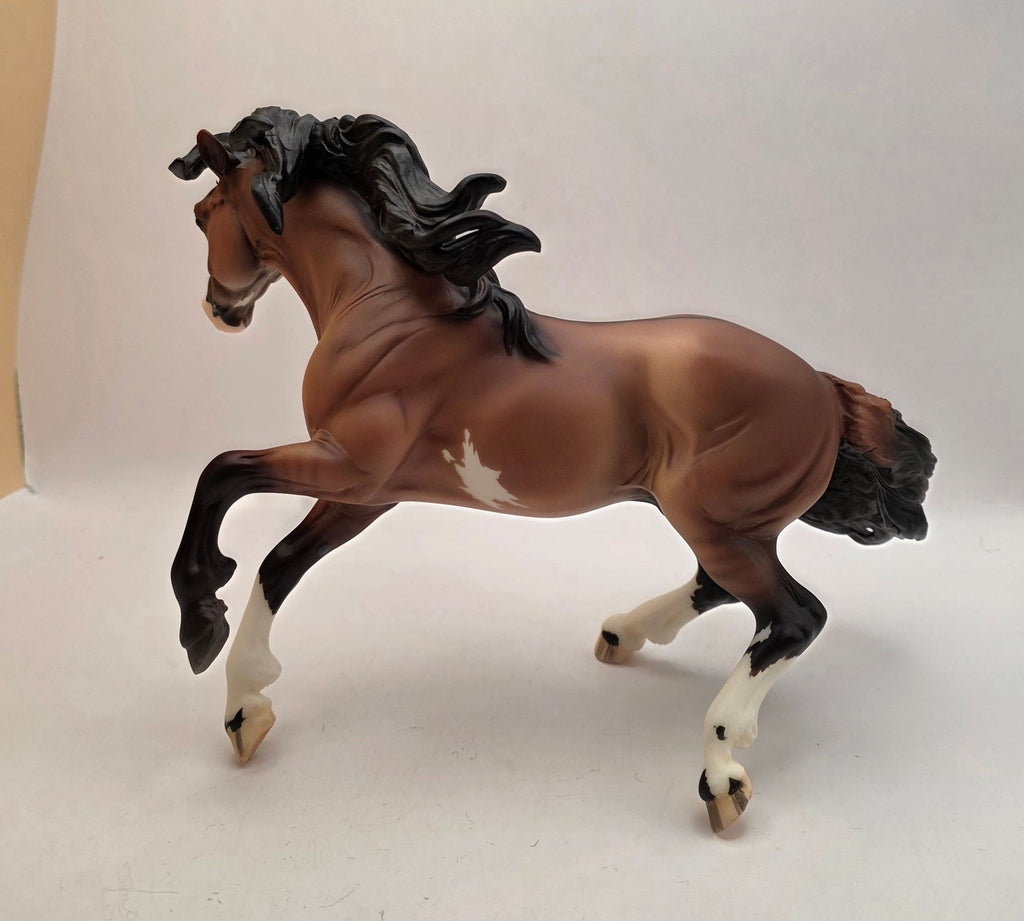 Breyer, Sundance